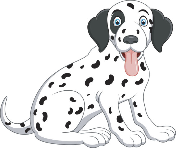 dalmatian
