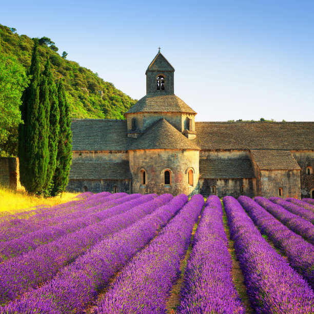 provence