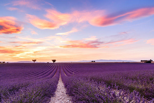 provence