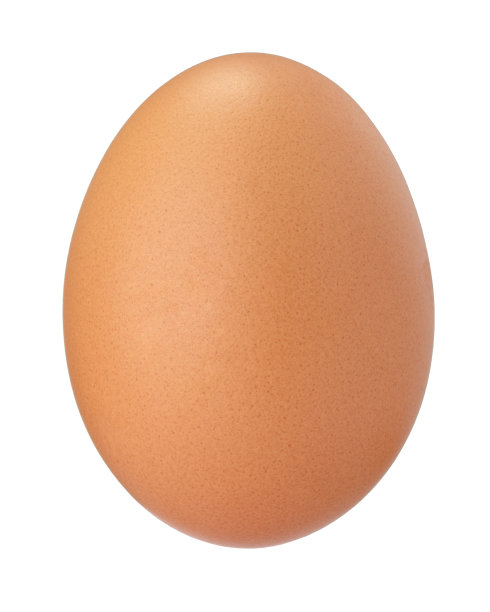 egg