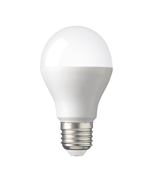bulbs