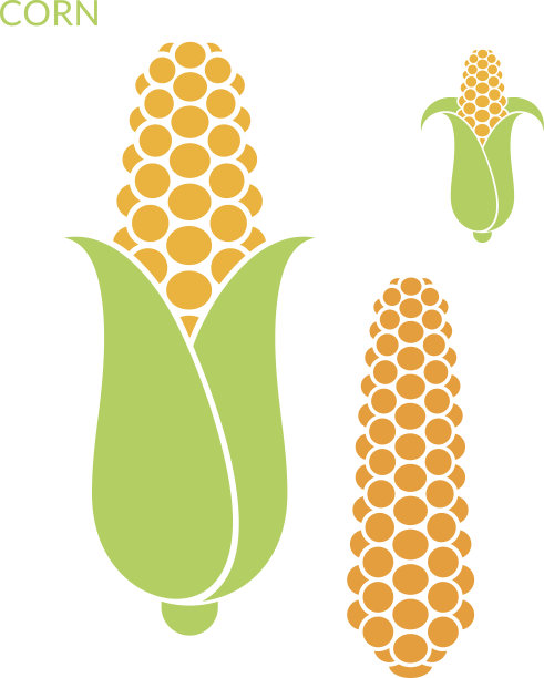 corn