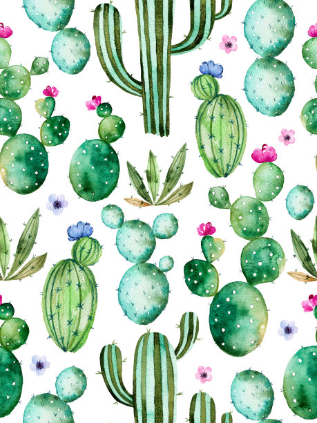 cacti