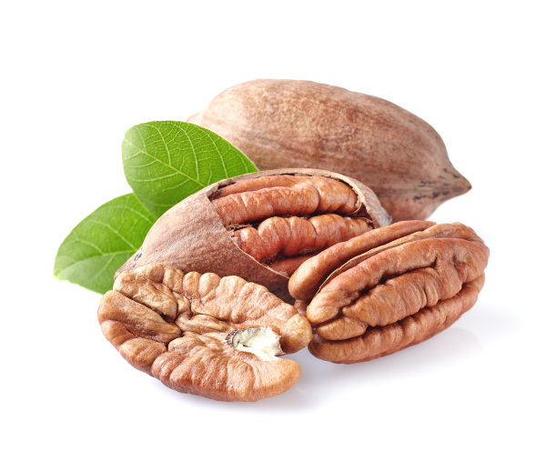 pecan