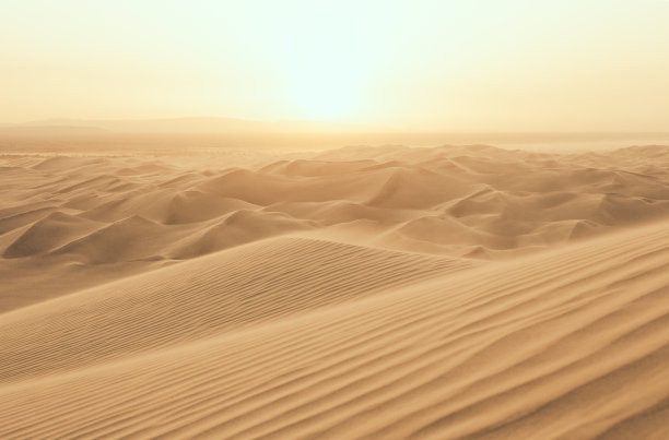 荒漠,沙漠