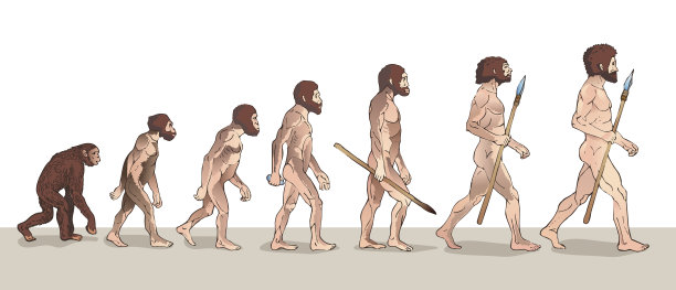 monkey
