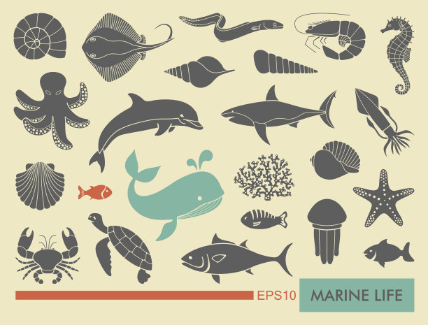 eel