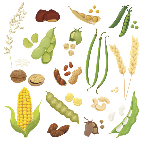 legume