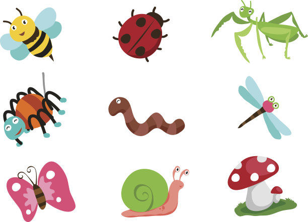 snail