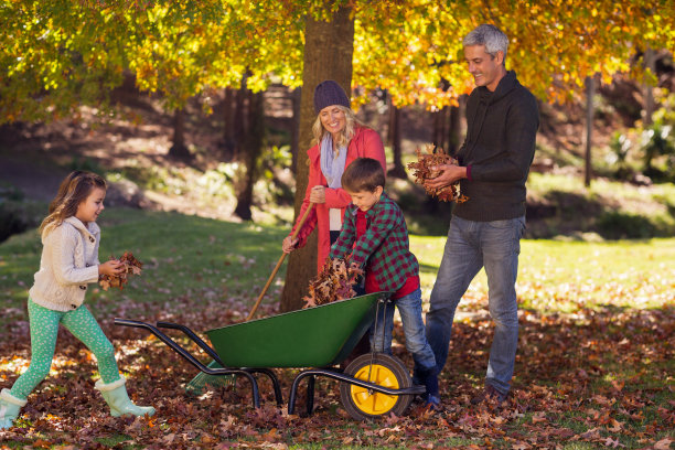 rake