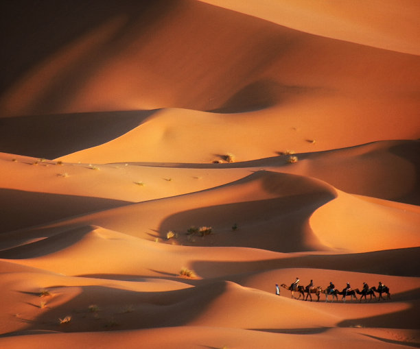 desert