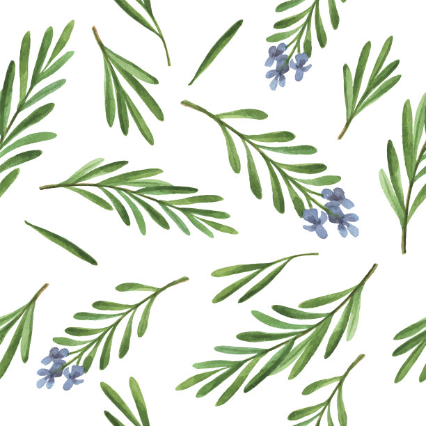 rosemary