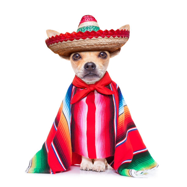 costume