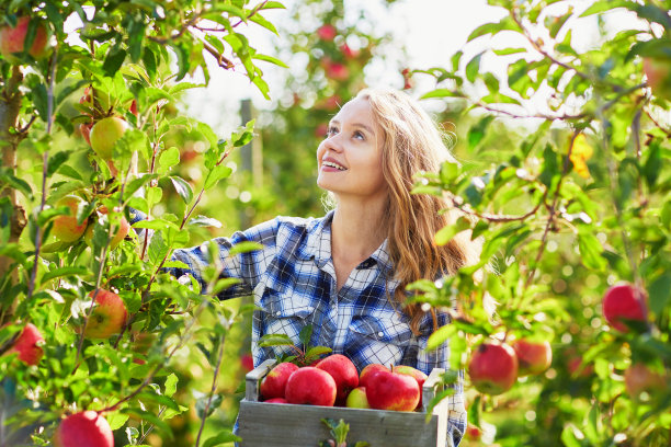 orchard
