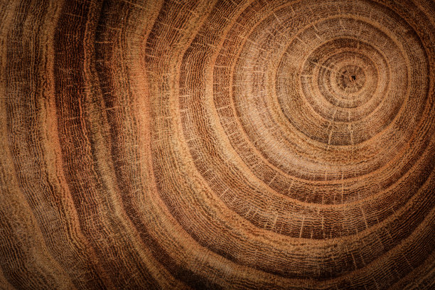 log
