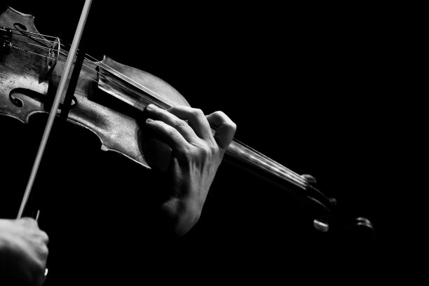 fiddle