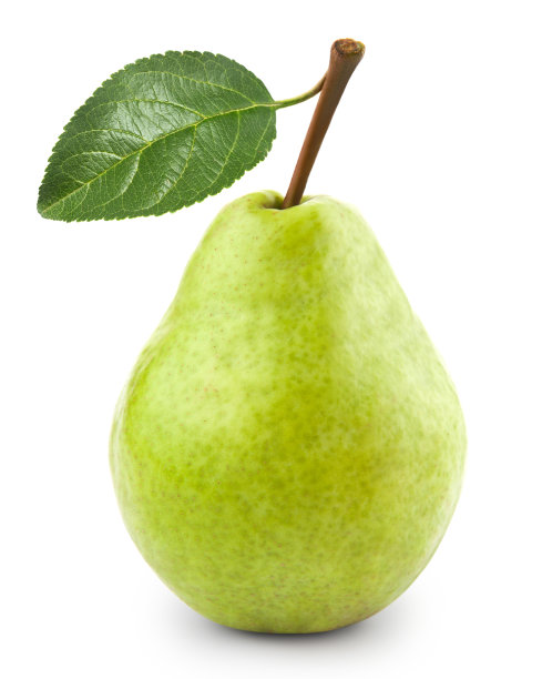 pyrus