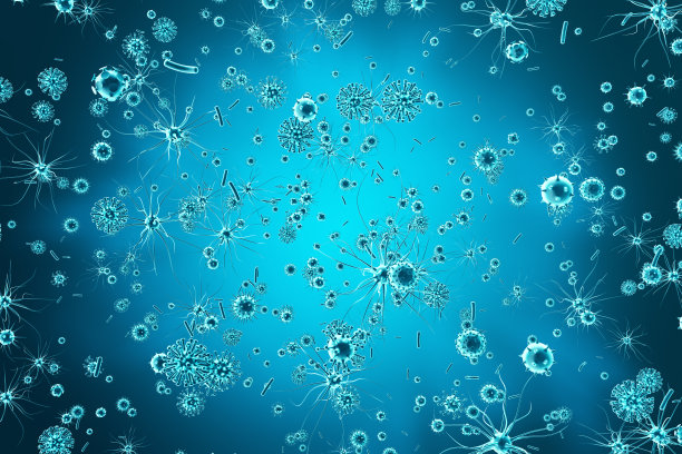 bacteria