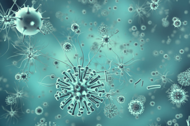 bacteria