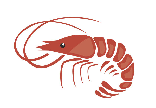 shrimps