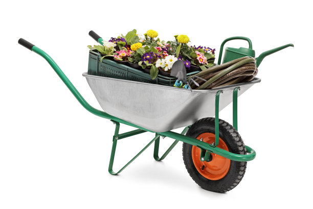 wheelbarrow