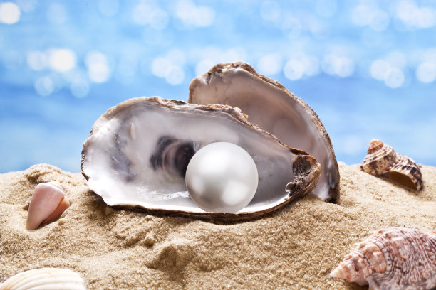 珍珠牡蛎