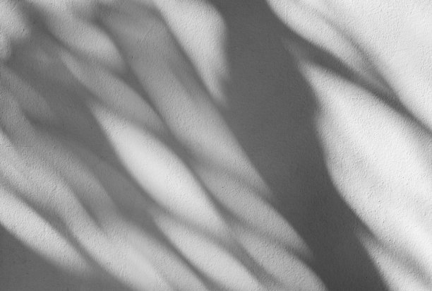 shadow
