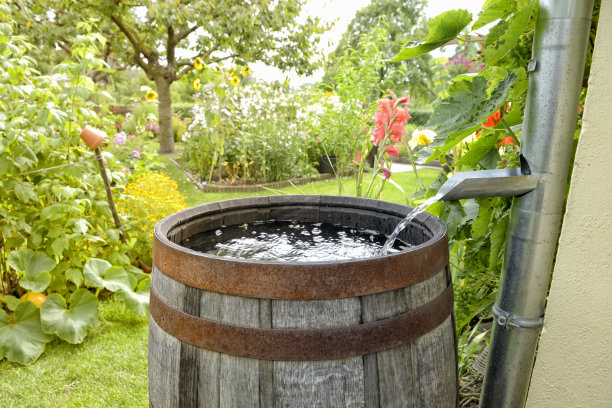 barrel
