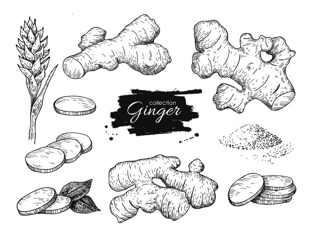 ginger