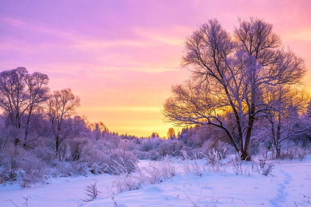 冰天雪地 冬天 雪景 风景 自