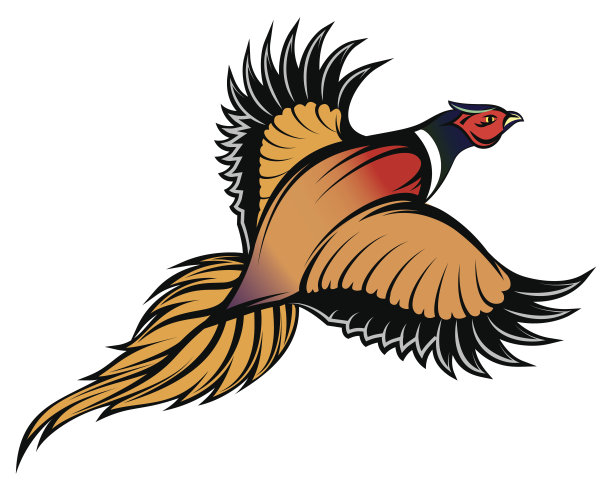 金红色凤凰插画