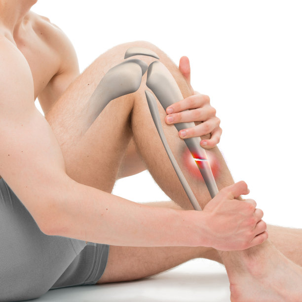 tibia