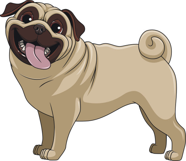 pug