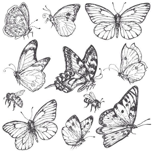 entomology