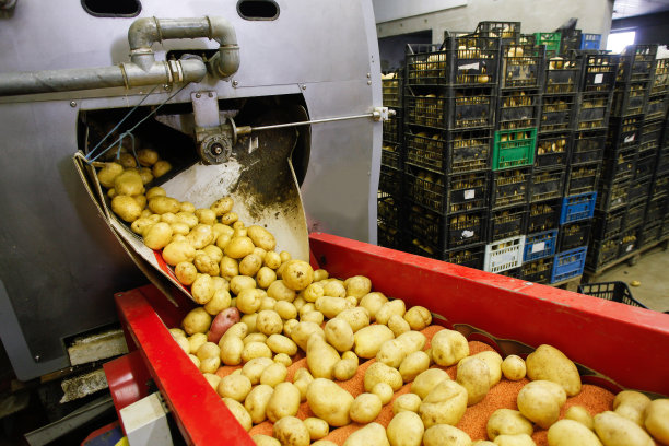 potatoes