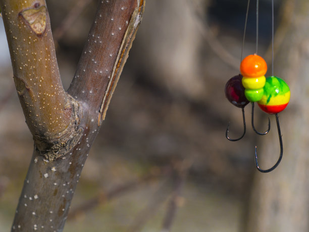 spinner