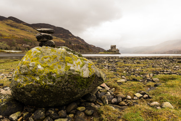 donan