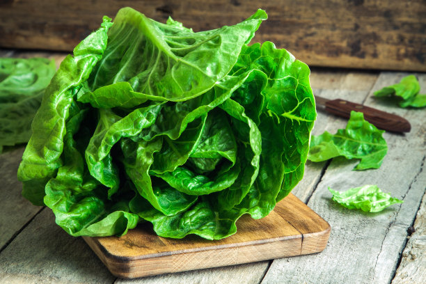 lactuca