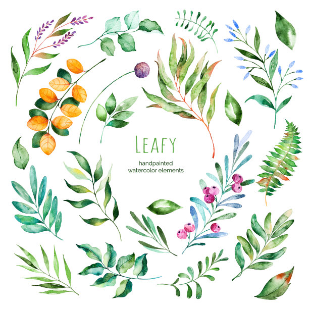 foliage