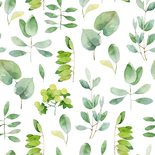 绘画艺术植物绿叶