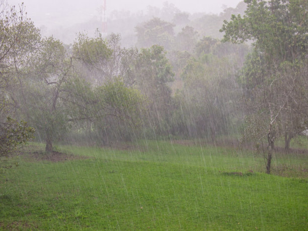 drizzle
