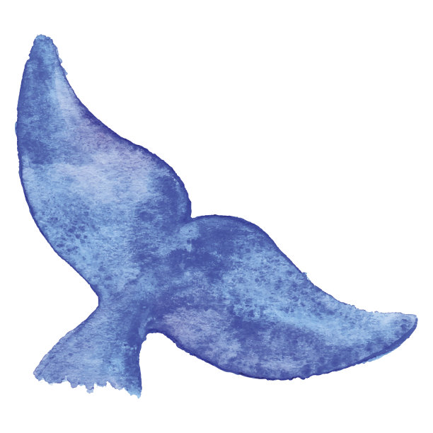 鲸鱼装饰画