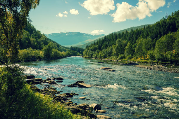 scandinavian