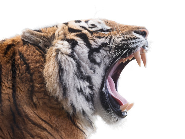 furious