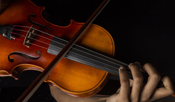 fiddle