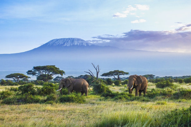 tanzania