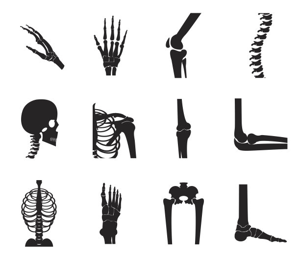 bone