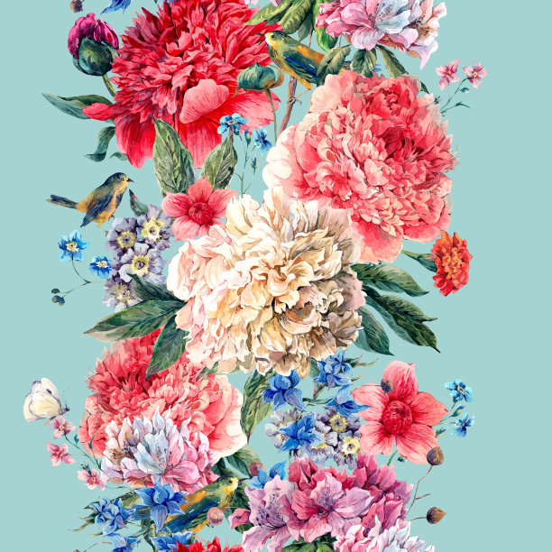 牡丹花插画