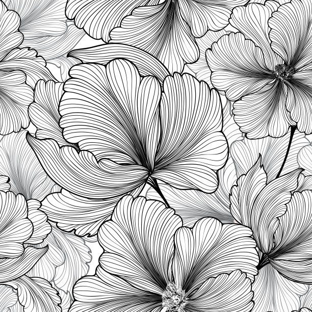 牡丹花插画