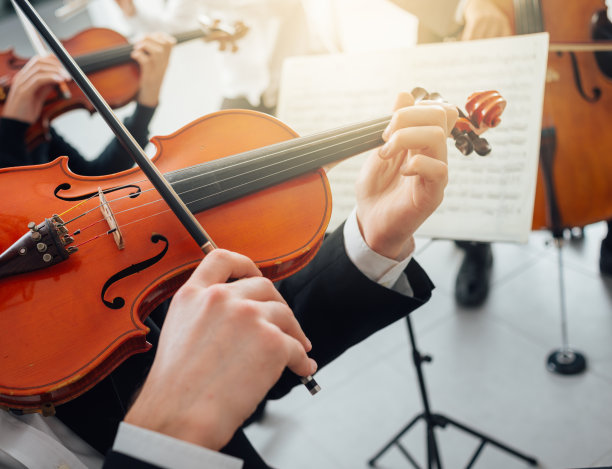 violin
